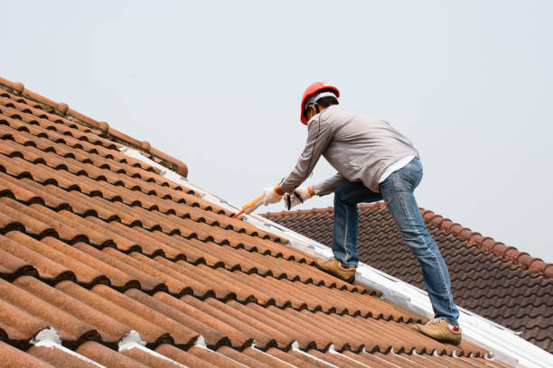 Best Roof Moss and Algae Removal  in Ridgebury, CT
